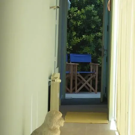 فيلة Casa Ricardo Pais موليدو